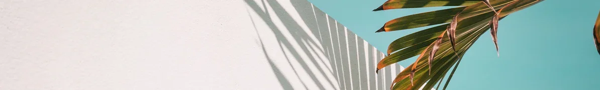 ad8c085d1a9688b02578b058b9b9ebaa_1_